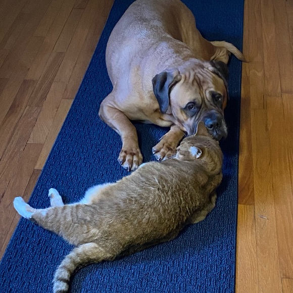 Meet your Posher, Taylor - Picture 6 of 6